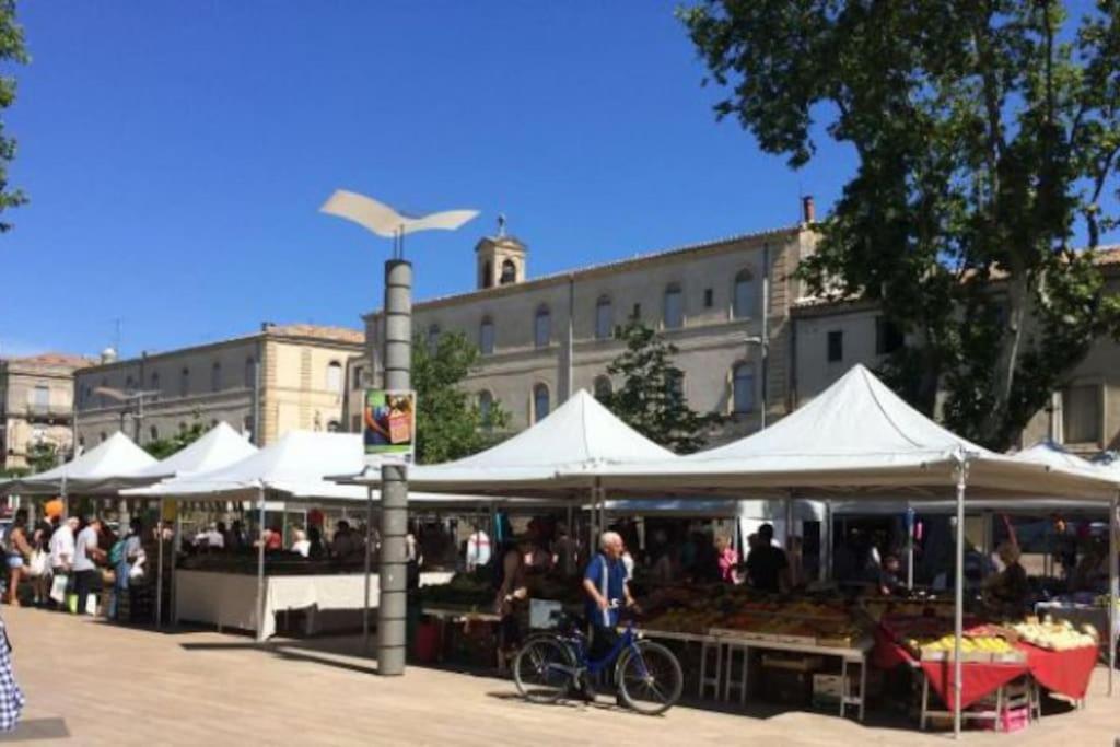 Artistic Loft, Downtown Montpellier, Wifi Apartment Ngoại thất bức ảnh